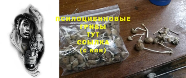 твердый Медвежьегорск